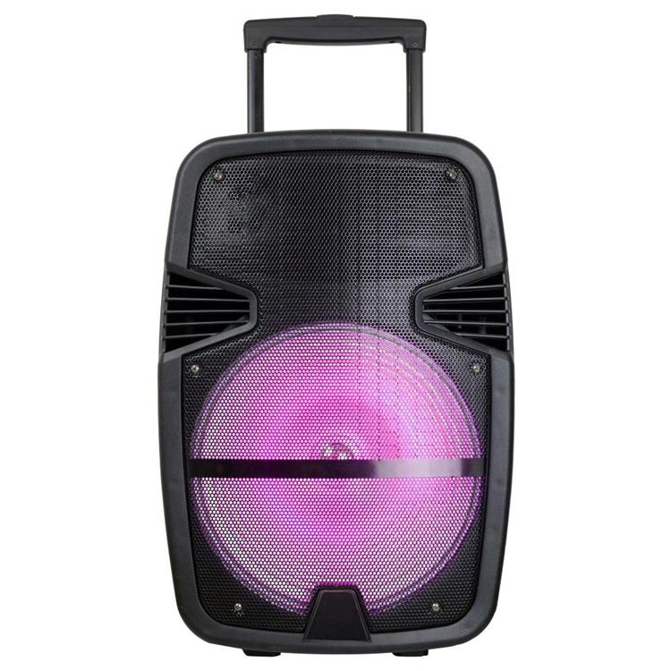 speaker 15 inch professional