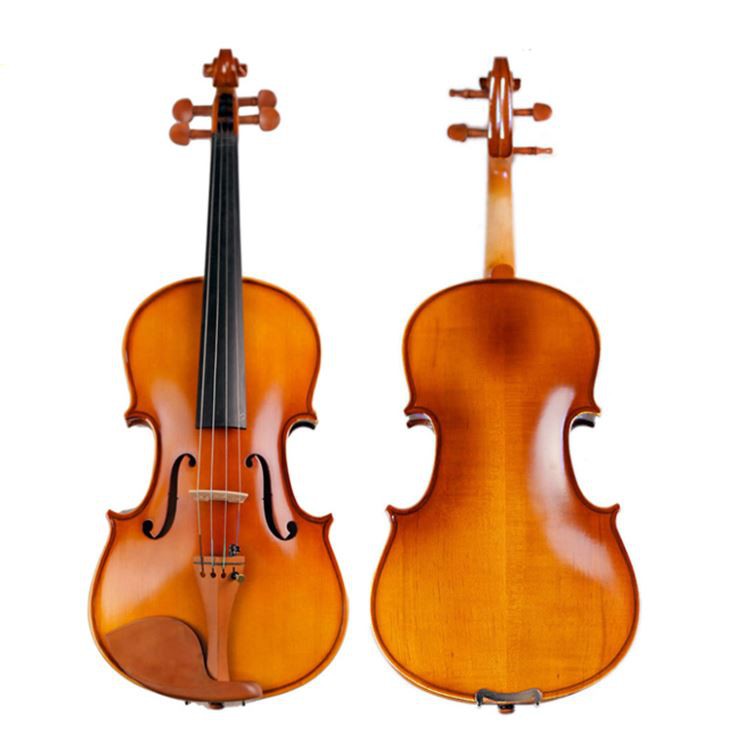 Student Entry Level Violin