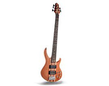 5 String Electric Bass Guitar
