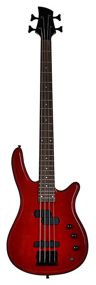 24 Frets Electric Guitar