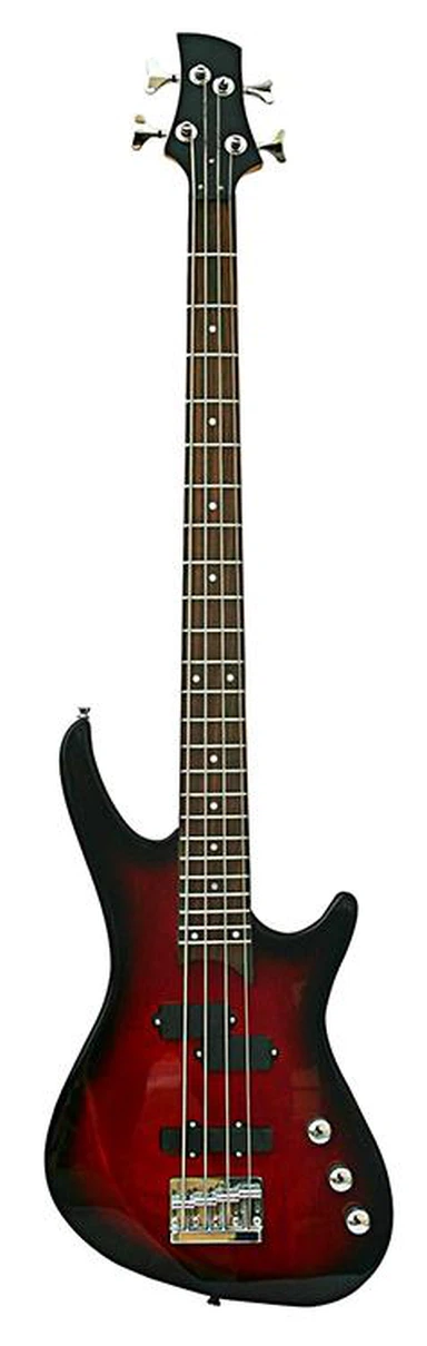 Bass Guitar