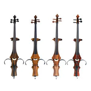 Profession Advanced Electric Cello