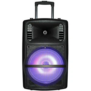 Wireless Microphone Speaker