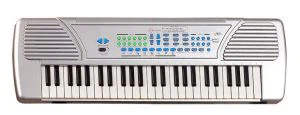 49 Key Electronic Organ
