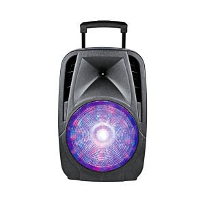 Professional Speakers Sound System