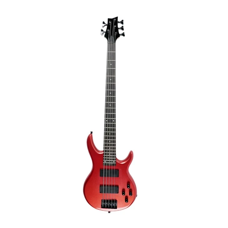 Electric Bass Guitar