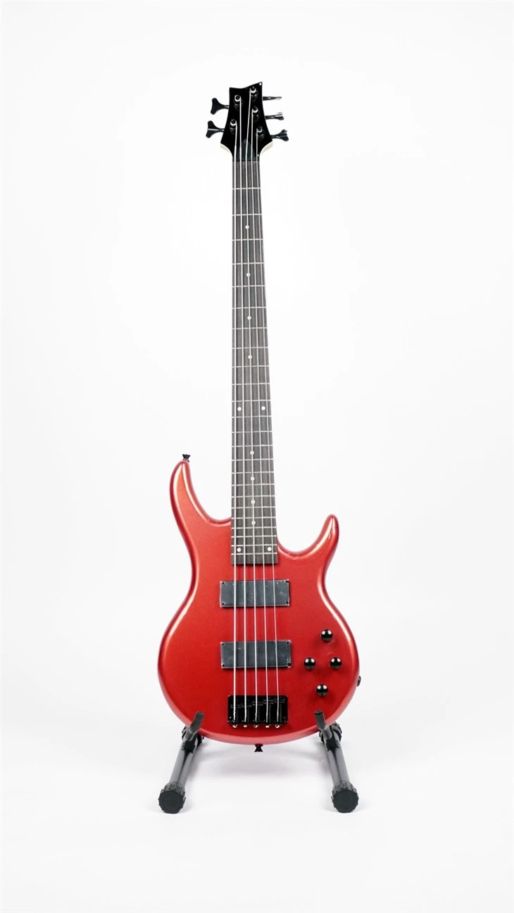 Electric Bass Guitar