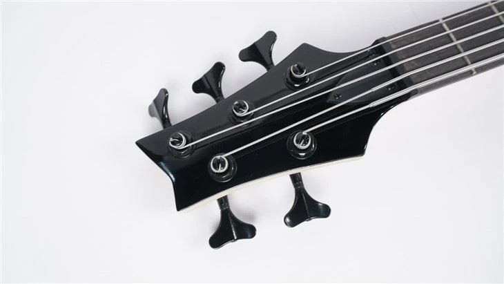 Electric Bass Guitar