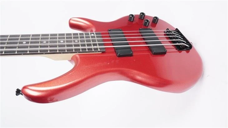 Electric Bass Guitar