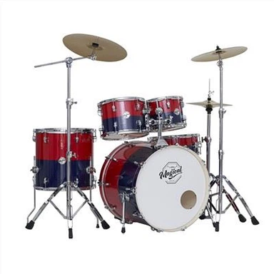 Best Professional Drum Set