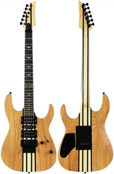 Advanced Electric Guitar Price Choice